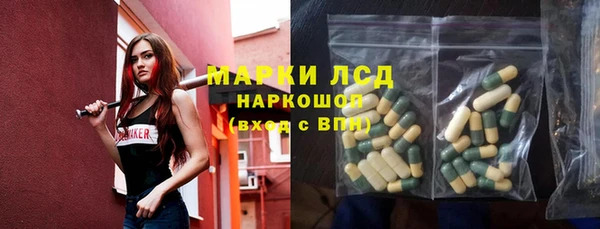 дживик Бородино