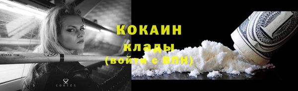 дживик Бородино