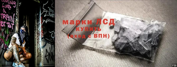 дживик Бородино