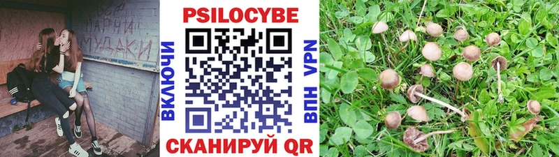Псилоцибиновые грибы Psilocybine cubensis  KRAKEN вход  Елизаветинская 